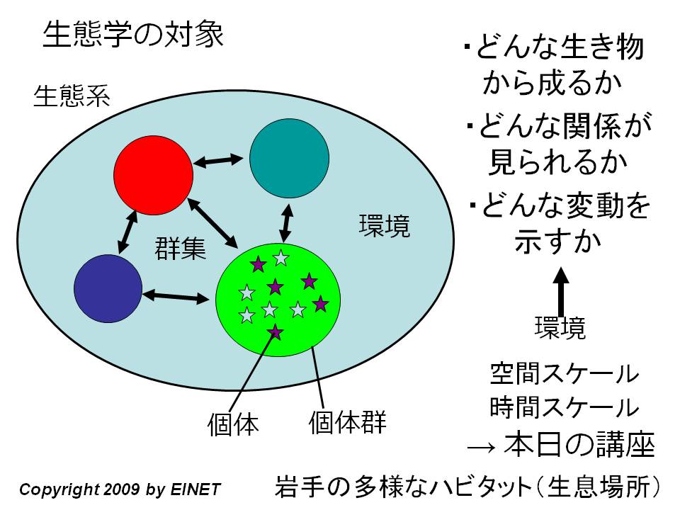 ecology