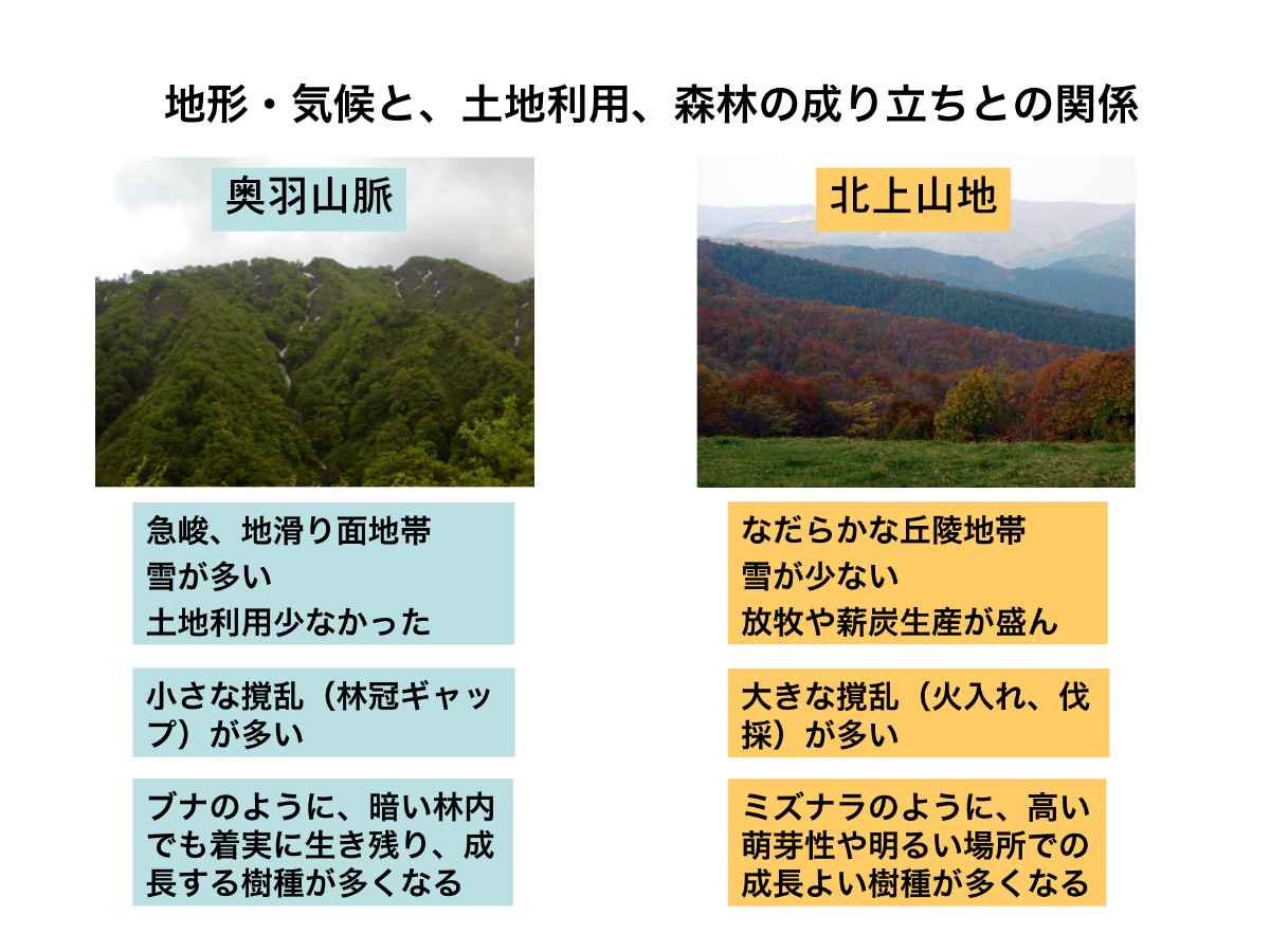 differences