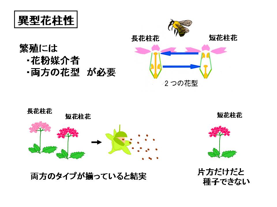 figure1