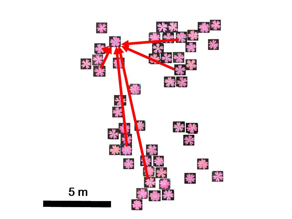 figure2