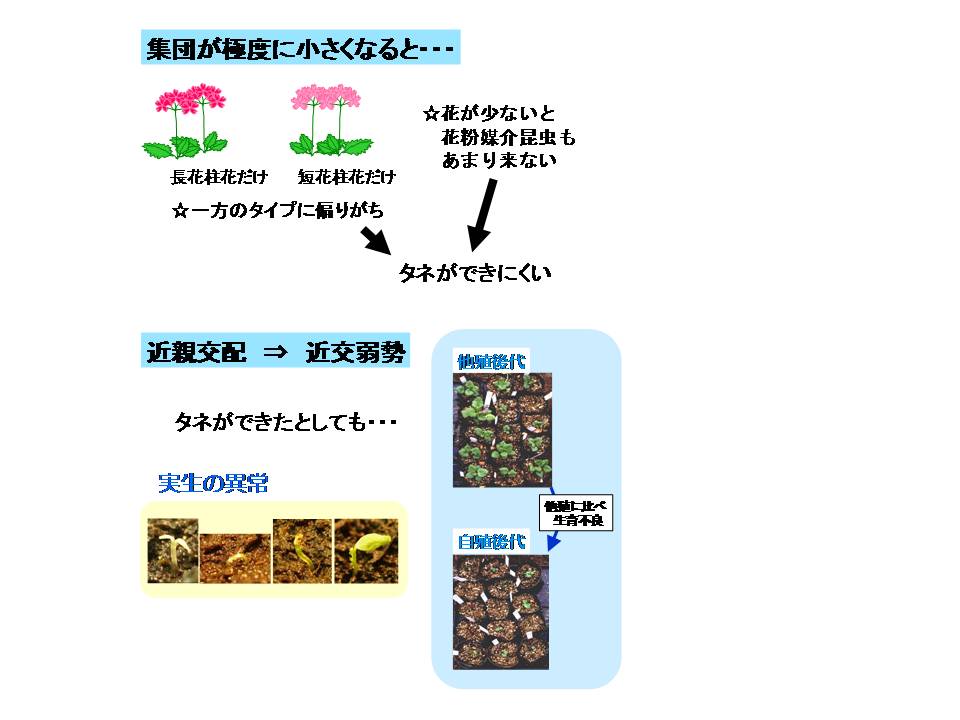 figure3