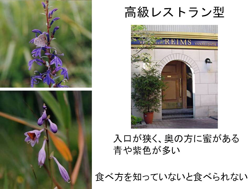formal-restaurant