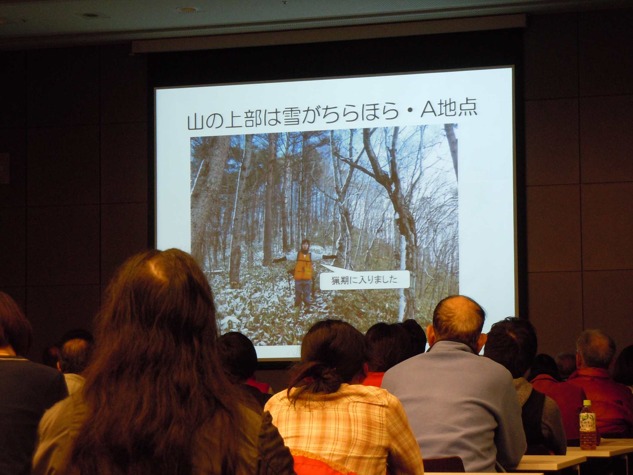 photo